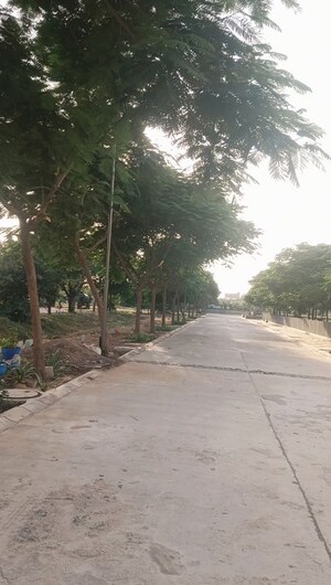 Plot Area in  Plot at Orris Market City, Sector 89 – for Sale