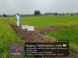 Plot Area in  Land at Salai Gadhani – for Sale