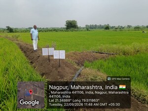 Plot Area in  Land at Salai Gadhani – for Sale