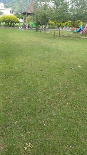 3 BHK Apartment – Garden View at Adarsh Panache Heights, Kulhan - for Rent