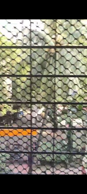 Balcony in 1 BHK Apartment at Tilak Nagar – for Rent