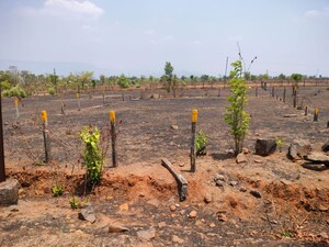 Plot Area in  Plot at Murbad Karjat Road – for Sale