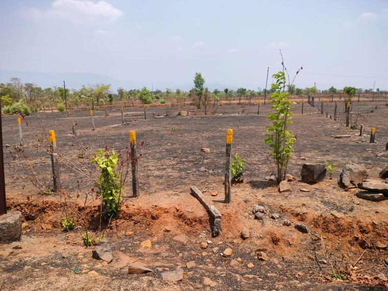 undefined, murbad karjat road  6040 Sq.Ft. Plot In Murbad Karjat Road Thane 10744418
