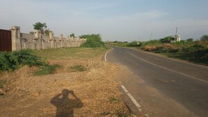 Plot Area in  Land at Olpad – for Sale