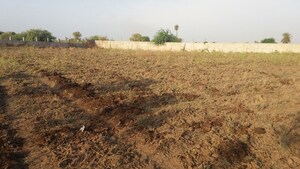 Plot Area in  Land at Olpad – for Sale