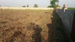 Plot Area in  Land at Olpad – for Sale