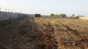 Plot Area in  Land at Olpad – for Sale