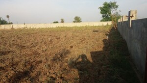 Plot Area in  Land at Olpad – for Sale