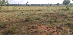 Plot Area in  Plot at Aecs Layout – for Sale