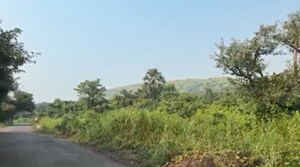  Industrial Plot For Sale in Taloja