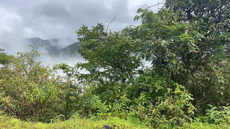 undefined, bhor  11000 Sq.Ft. Plot In Bhor Pune 10744580