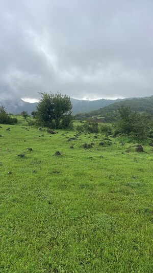 Plot Area in  Plot at Bhor – for Sale