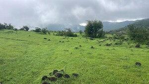  Plot For Sale in Bhor