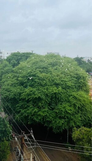 3 BHK Apartment – Garden View at Anuhar Morning Raaga, Manikonda - for Rent