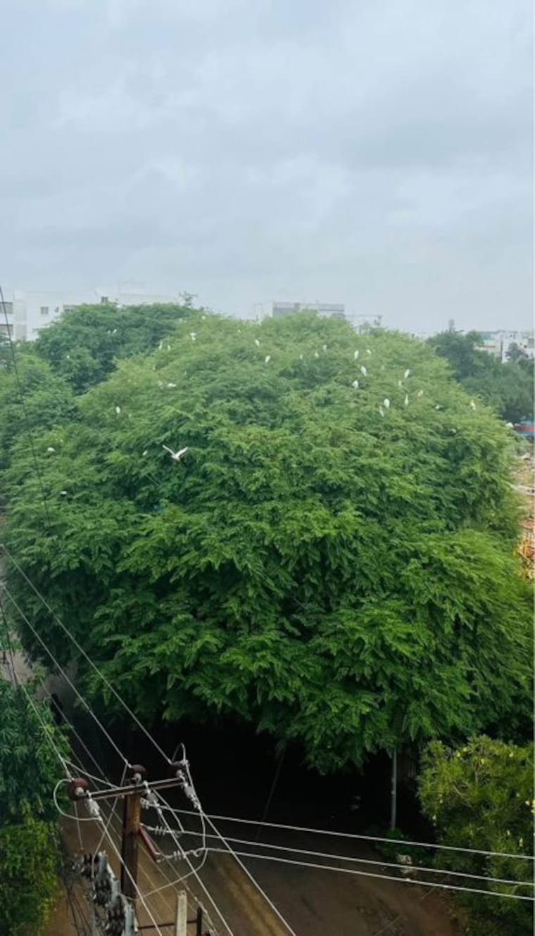 Garden, anuhar-morning-raaga 3 Bedroom 1865 Sq.Ft. Apartment In Manikonda Hyderabad 10744668