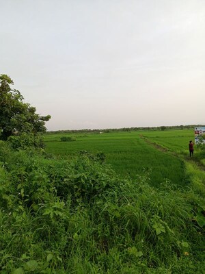  Plot – Garden View at Dronagiri - for Sale