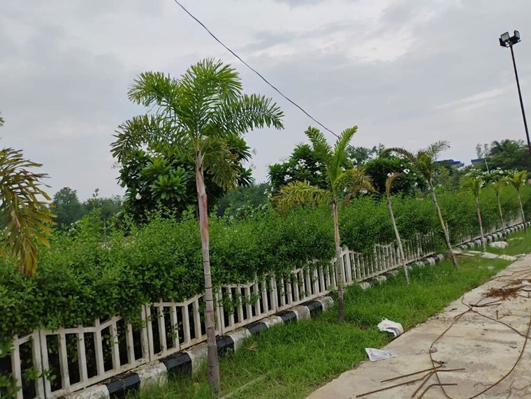 undefined, rahmatnagar  2450 Sq.Ft. Plot In Rahmatnagar Lucknow 10744796