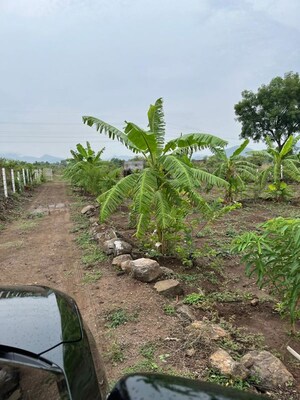  Land For Rent in Darumbre