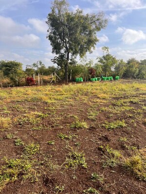 Plot Area in  Land at Darumbre – for Rent