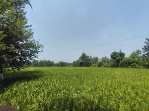  Plot For Sale in Sector 16 Yamuna Expressway
