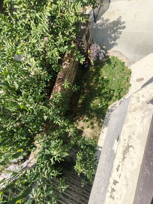 3 BHK Independent House – Garden View at Palam Vihar Residents Association, Palam Vihar - for Rent