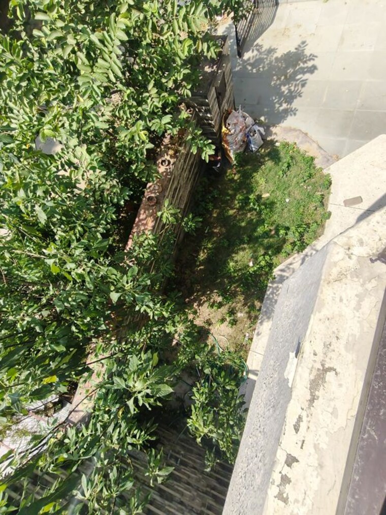 Garden, palam-vihar-residents-association 3 Bedroom 1680 Sq.Ft. Independent House In Palam Vihar Gurgaon 10745030