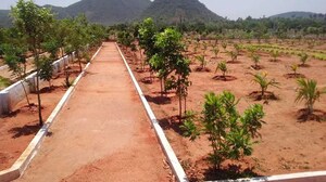 Plot Area in  Plot at Kothavalasa – for Sale