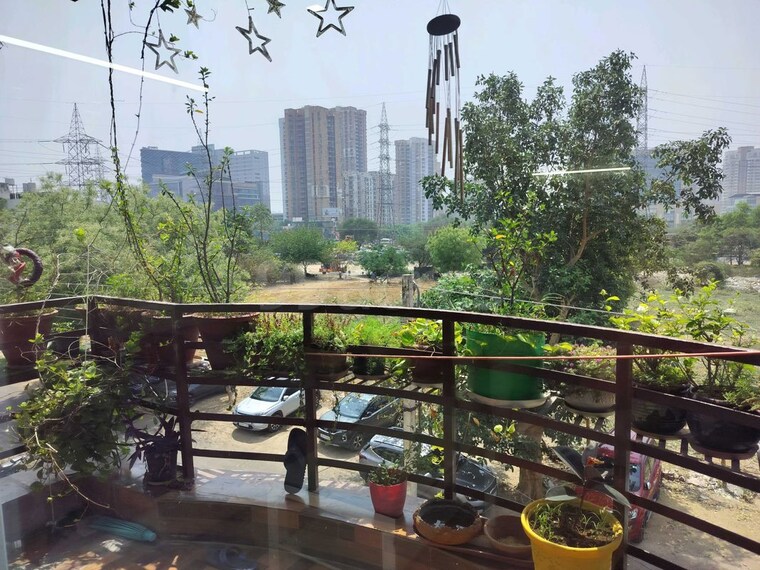 Gym, ansal-sushant-floors 3 Bedroom 1219 Sq.Ft. Builder Floor In Sushant Lok ii Gurgaon 10745125