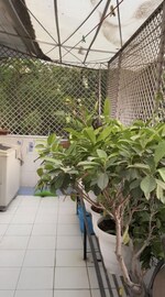 3 BHK 1500 Sq.Ft. Apartment in Sector 1 Dwarka