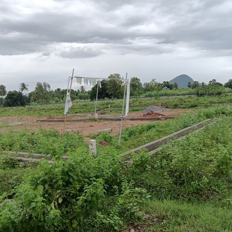 undefined, sarada colony  130 Sq.Yd. Plot In Sarada Colony Anakapalle 10745819