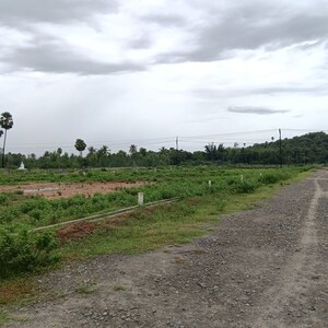 Plot Area in  Plot at Sarada Colony – for Sale