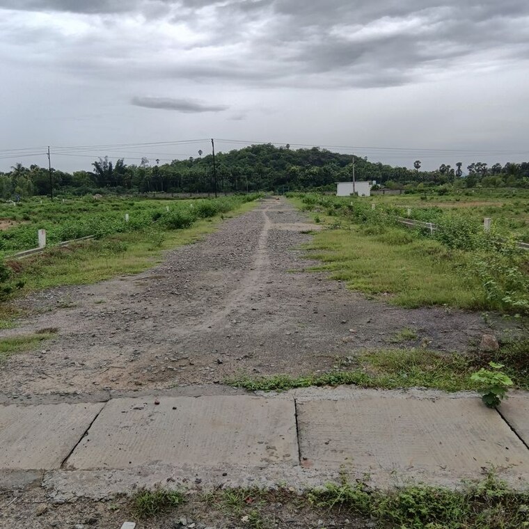undefined, sarada colony  130 Sq.Yd. Plot In Sarada Colony Anakapalle 10745819