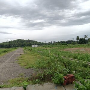  Plot For Sale in Sarada Colony