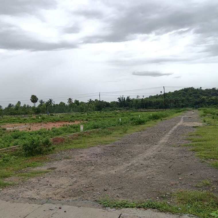undefined, sarada colony  130 Sq.Yd. Plot In Sarada Colony Anakapalle 10745819