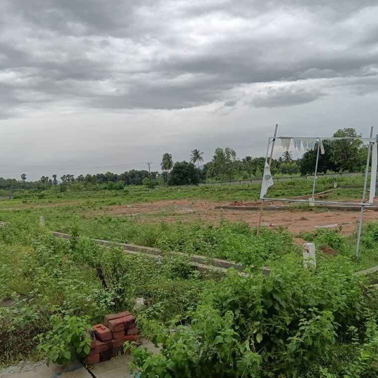 undefined, sarada colony  130 Sq.Yd. Plot In Sarada Colony Anakapalle 10745819
