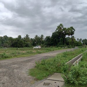 Plot Area in  Plot at Sarada Colony – for Sale