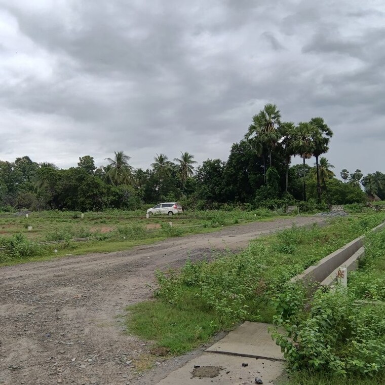undefined, sarada colony  130 Sq.Yd. Plot In Sarada Colony Anakapalle 10745819