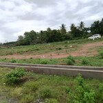 150 Sq.Yd. Plot in Sarada Colony