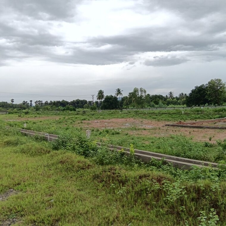 undefined, sarada colony  150 Sq.Yd. Plot In Sarada Colony Anakapalle 10745847