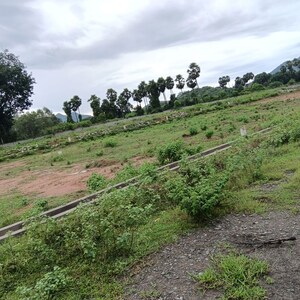 Plot Area in  Plot at Sarada Colony – for Sale