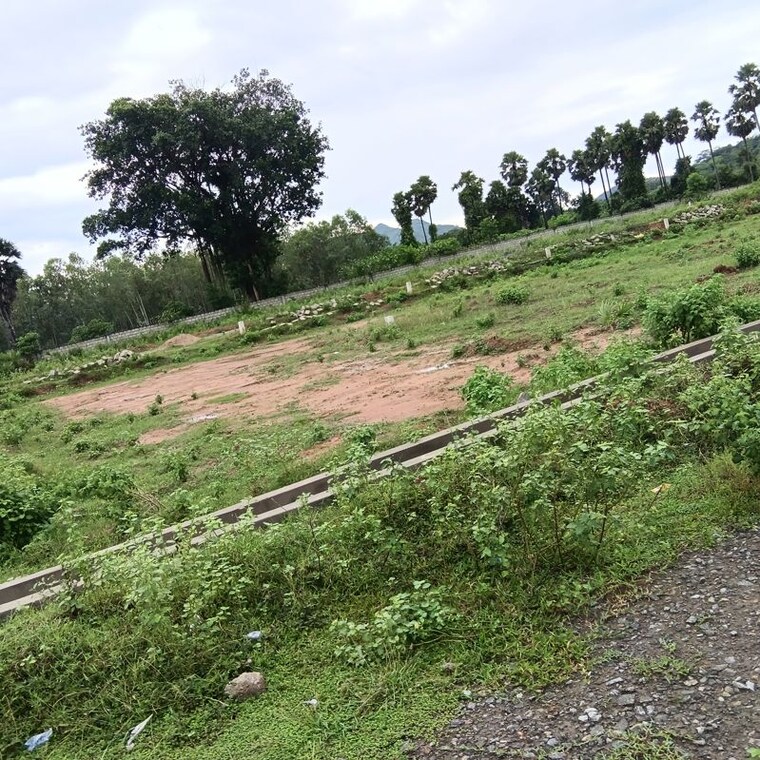 undefined, sarada colony  150 Sq.Yd. Plot In Sarada Colony Anakapalle 10745847