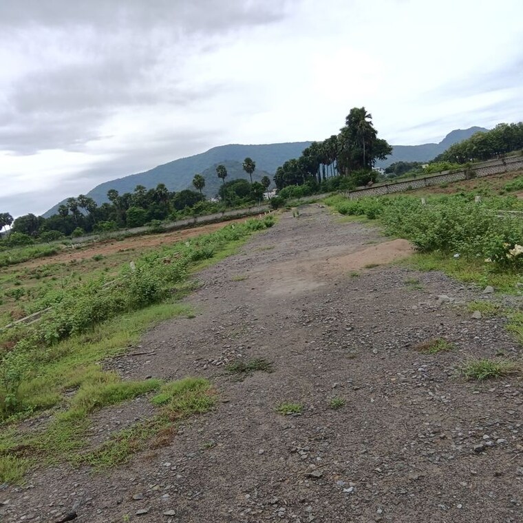 undefined, sarada colony  150 Sq.Yd. Plot In Sarada Colony Anakapalle 10745847