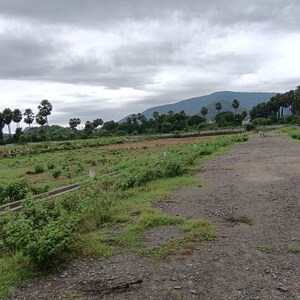 Plot Area in  Plot at Sarada Colony – for Sale