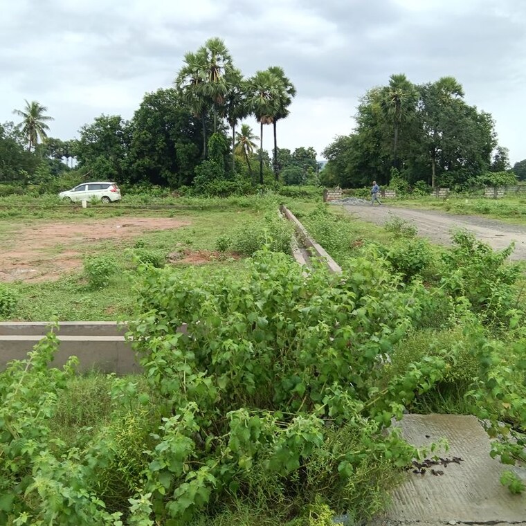 Garden, sarada colony  150 Sq.Yd. Plot In Sarada Colony Anakapalle 10745847
