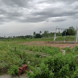 Plot Area in  Plot at Sarada Colony – for Sale