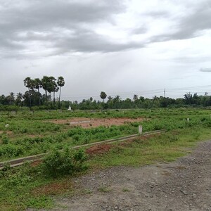 Plot Area in  Plot at Sarada Colony – for Sale
