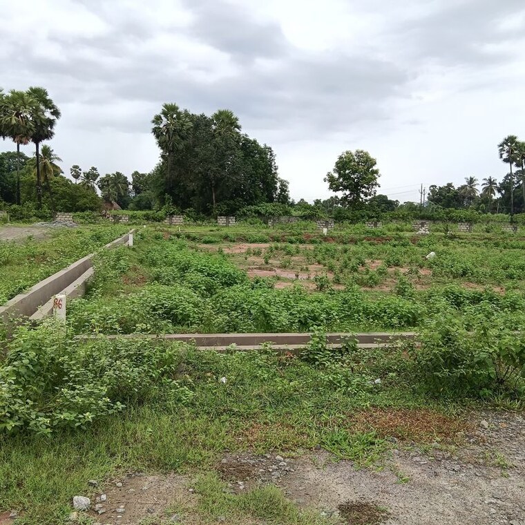 undefined, sarada colony  167 Sq.Yd. Plot In Sarada Colony Anakapalle 10745874
