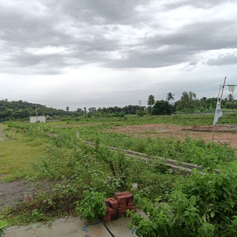 undefined, sarada colony  167 Sq.Yd. Plot In Sarada Colony Anakapalle 10745874
