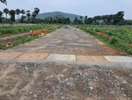 167 Sq.Yd. Plot in Sarada Colony