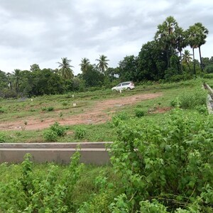 Plot Area in  Plot at Sarada Colony – for Sale